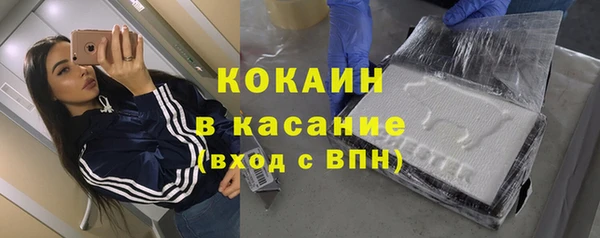 прущие грибы Магас