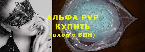 прущие грибы Магас