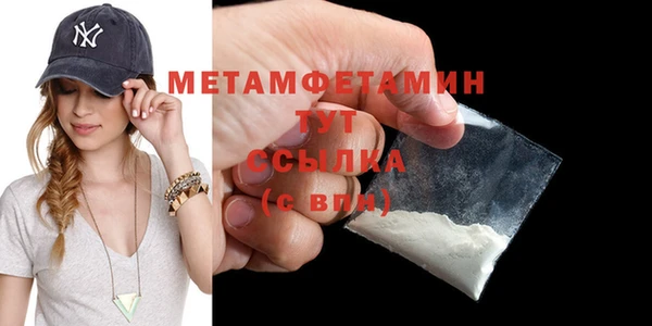прущие грибы Магас