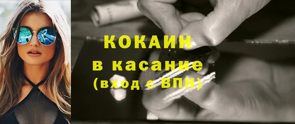прущие грибы Медвежьегорск