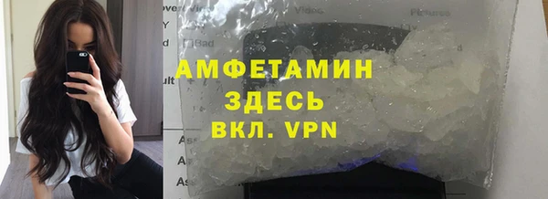 прущие грибы Магас