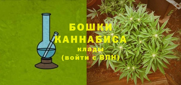прущие грибы Медвежьегорск