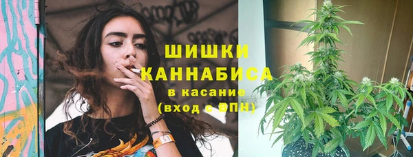 прущие грибы Магас